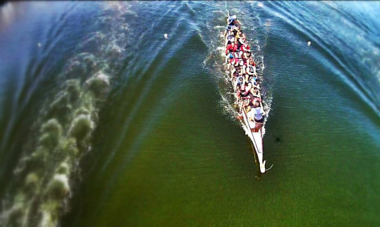 Tampa Dragon Boat Race